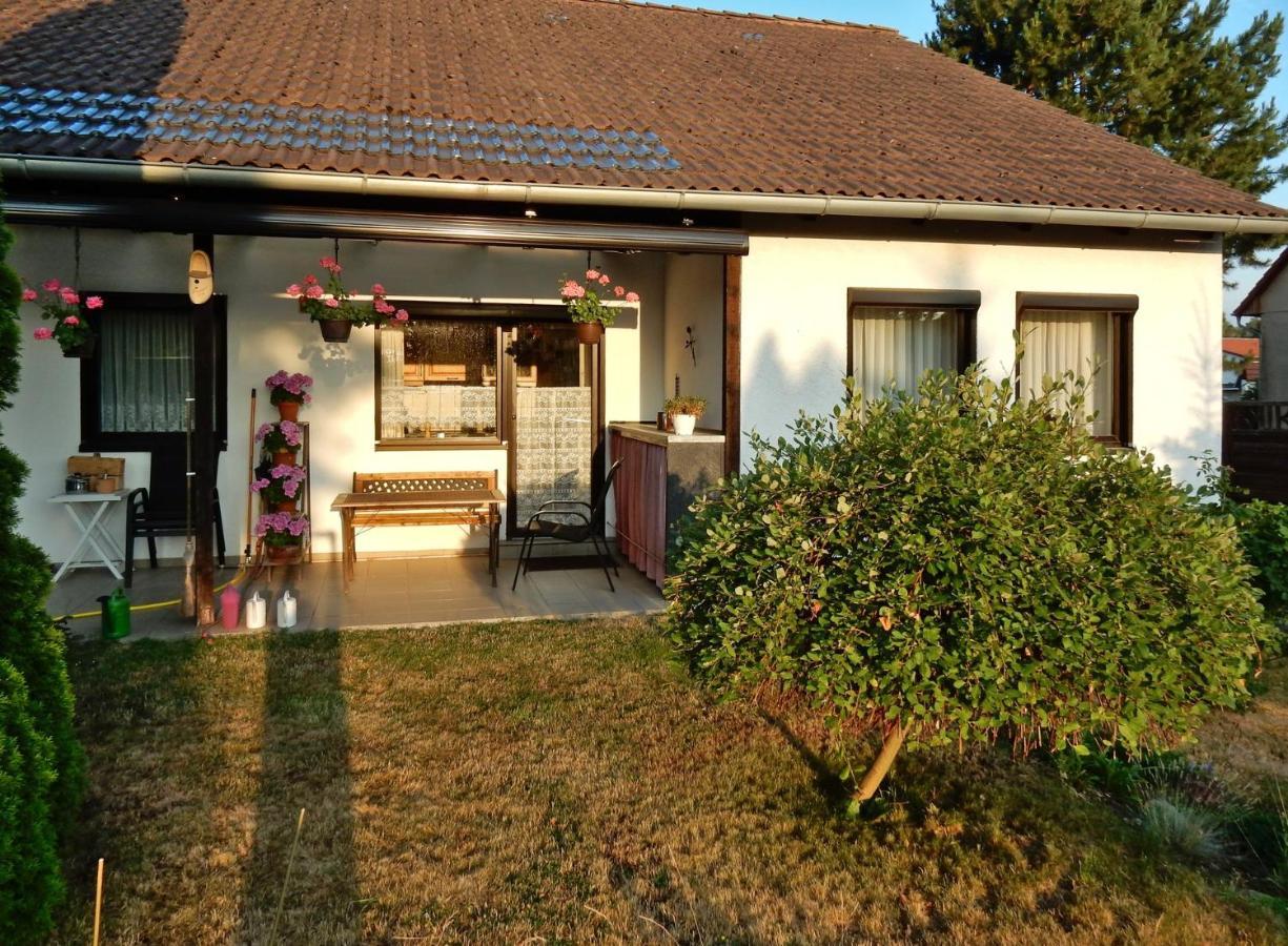 Fewo Am Sassenberg 布兰肯堡 外观 照片